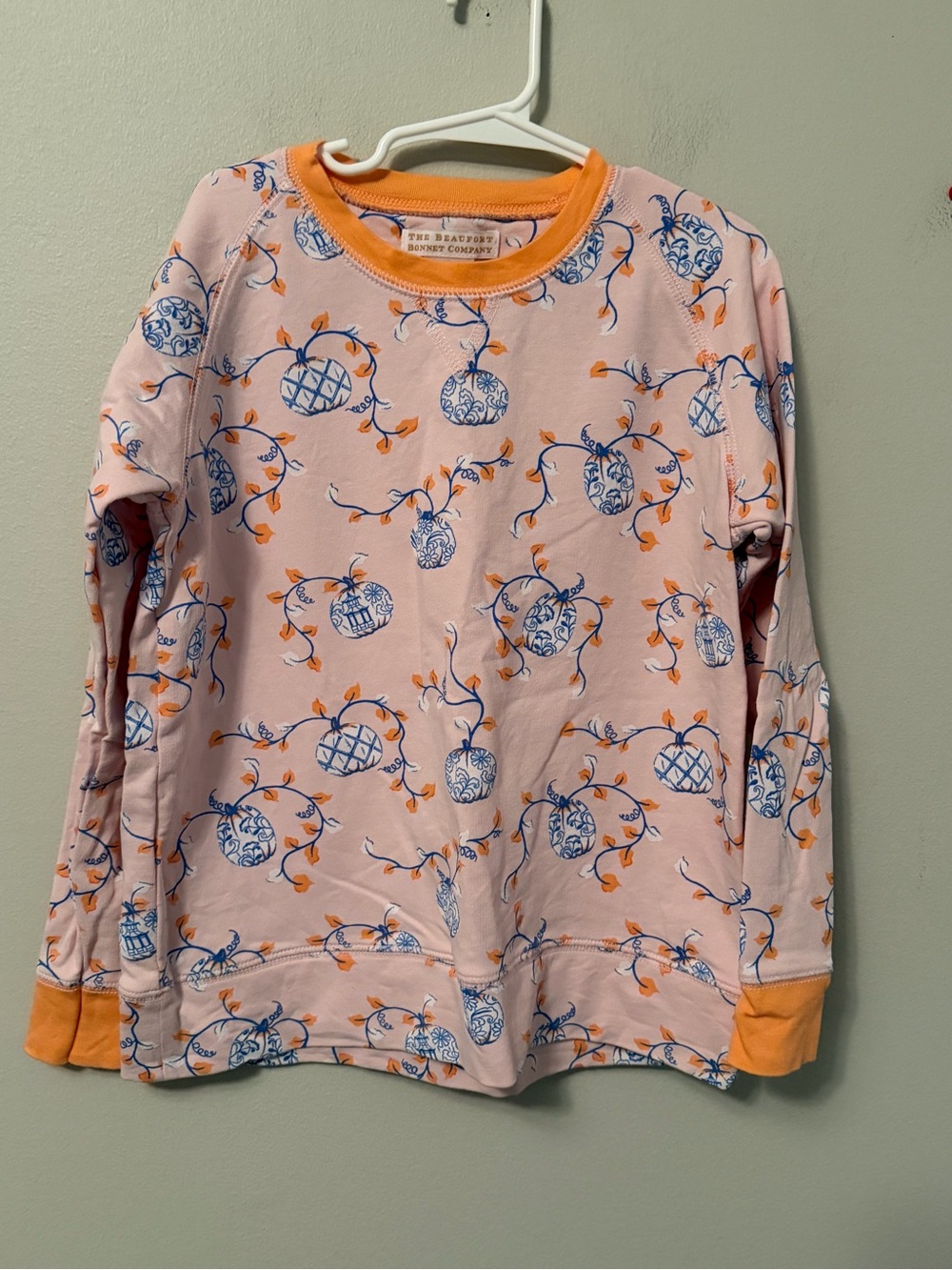 The Beaufort Bonnet Company Pink & Orange Pumpkin Crewneck